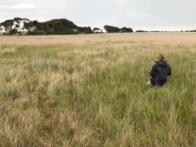 EPBC Plains Grassland offset site