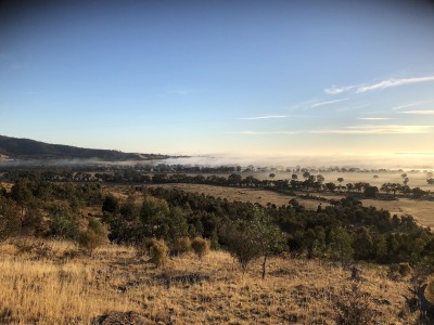 Outlook at one of our landonwer's native vegetation offset site